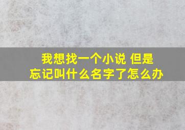 我想找一个小说 但是忘记叫什么名字了怎么办